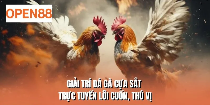 Giải trí đá gà cựa sắt trực tuyến lôi cuốn, thú vị